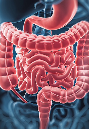 CHIRURGIA DIGESTIVA